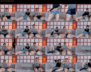web_gammer_ — 120 minute Chaturbate male cam video, 720p, Apr 22, 2025