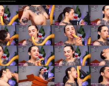 evarabbit — 81 minute Chaturbate female cam video, 720p, Feb 8, 2026