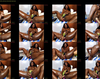 afro_pop — 7 minute Chaturbate female cam video, 480p, Feb 11, 2026